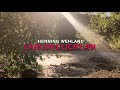 Lass Das Licht An (Wenn Du Gehst) Video preview