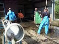 Video red caviar production, part 1 - красная икра на рыбзаводе