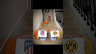 Dog Predict The UCL QUATER-FINAL ☠️🔥#youtube #trending #shorts