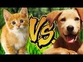 KITTENS VS. PUPPIES | Reading Your Comments #70