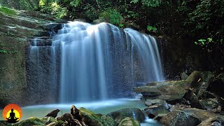 🔴 Relaxing Music 24/7, Deep Sleep Music, Relaxation, Calming Music, Sleeping Music, Study Music
