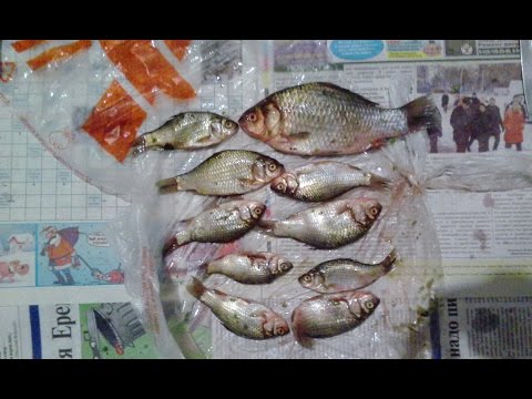 новый милет рыбалка форум новый милет рыбалка форум
