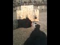 Shawn Smith runs stage in carbine class
