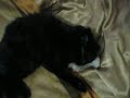 twiggywent