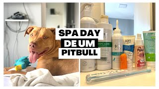 Dar banho em Pitbull é fácil ? | cuidados com a pelagem