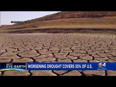 More Than Half Of The U.S. Experiencing Drought Conditions
