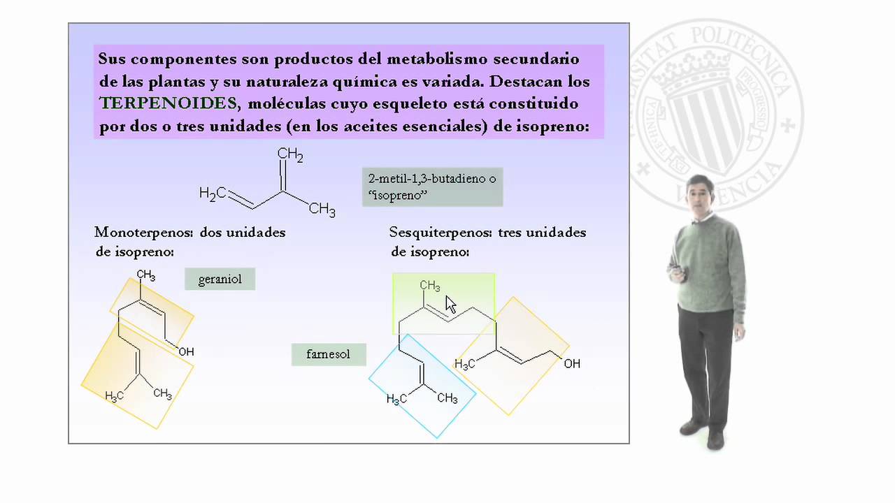 DESTILACION ARRASTRE VAPOR destilacion arrastre vapor: