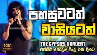 Pahasuwatath Wasiyatath පහසවටත වසයටත Shenal Live At The Gypsies Concert Trans Av Events