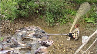 Fishing Exciting, Use A Large Capacity Pump, Catch Many Of Fish In The Lake Ep46