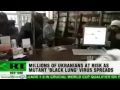 Has Mutated H1N1 "Black Lung" Arrived in America?