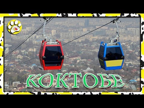 История в женски История в женски