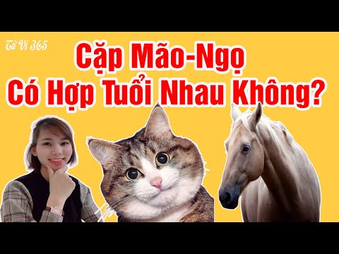 💓 (Phân tích siêu hay) Tuổi Mão Và Ngọ Có Hợp Tuổi Nhau Không?