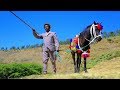 Dajanee Jaalataa: Leenci Hidhaan Hin Sarmu ** NEW 2018 Oromo Music