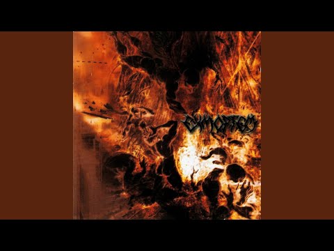 Dawn Of Revelation Video