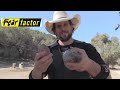 L.A. BEAST Eats Bull Testicles (Then Gets Ass Kicked By Angry 2000 Pound Bull)