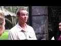 Australia Zoo's Tiger Kaitlyn Pregnant
