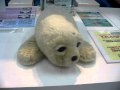 Paro the Therapy Seal