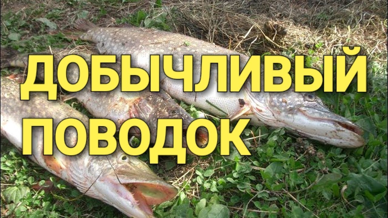 Как сделать кружку для ловли щуку Как сделать кружку для ловли щуку