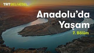 Anadolu'da Yaşam | Akarsu | TRT Belgesel