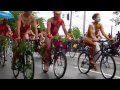 Seattle Solstice Parade Opening 2011 Painted Naked Cyclist images Seattle Solstice Parade Opening 2011 Painted Naked Cyclist