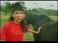 Batu Özdemir At ın altına giren kadın