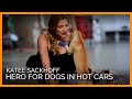 Sexy Katee Sackhoff Is a Hero for Dogs in Hot Cars