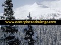 3d photo contest