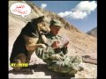 ajaib dounya