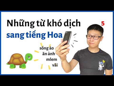 Tiếng Việt Sang Tiếng Hoa 5 (2020)