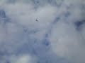 Sea Fury flys over The Bishop's Palace on 29 August 2011.AVI