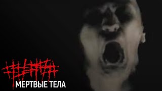 Клип 5diez - Мертвые тела