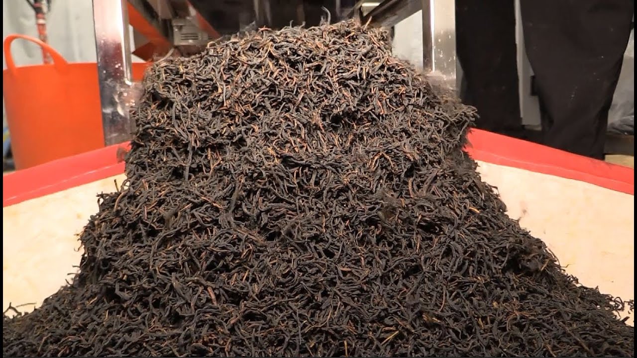 Оборудование для производства иван чая своими руками Оборудование для производства иван чая своими руками