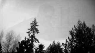 Watch Neil Young Families video