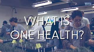 A One Health approach at the University of Delaware