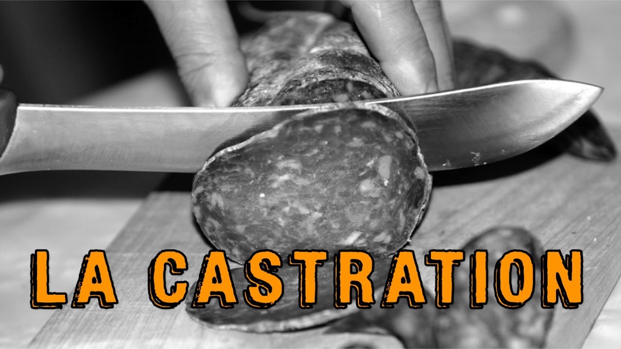 Accidental castration hilarious fan compilations