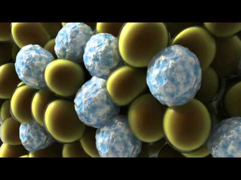 CoolSculpting Animation