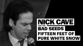 Video Fifteen feet of pure white snow Nick Cave And The Bad Seeds