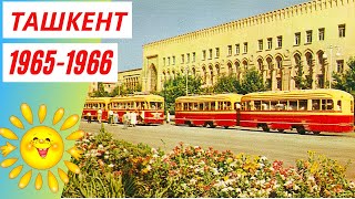 Ташкент 1965 -1966 | Вспомним Ташкент | Ностальгия По Ташкенту
