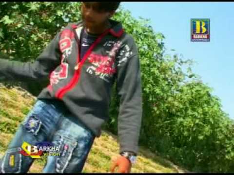 Zamin Ali Lagi dil Tosaan Pehrin Nazar main
