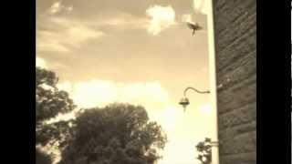 Watch Joel Plaskett Absentminded Melody video
