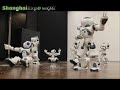 World Premiere: 20 Nao Robots Dancing in Synchronized Harmony