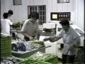 Vegetables Auto Packing Machine 蔬菜包裝機