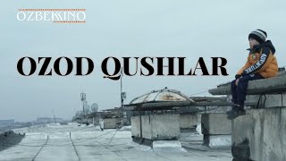 Ozod Qushlar (O'zbek Kino) | Озод Қушлар (Ўзбек Кино)