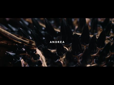ANDREA (feat. Vanessa Elisha) - DOWN (music video)