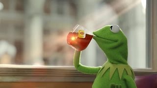 STOP APPROPRIATING MUPPET CULTURE