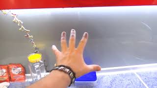 выкройка юбки-брюки с запахом