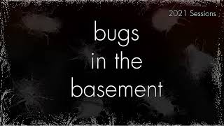 Bugs In The Basement - Carpophilus Hemipterus aka The Driedfruit Beetle