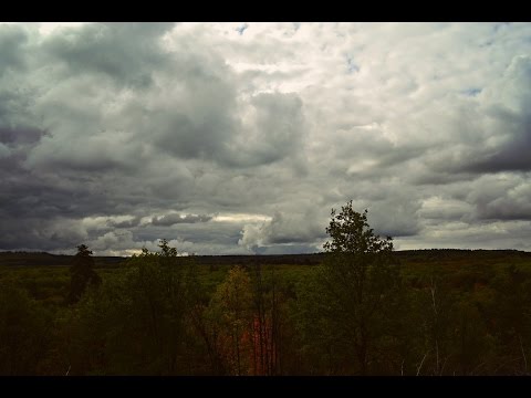 Охота на утку в ульяновской области Охота на утку в ульяновской области