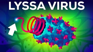 The Deadliest Virus On Earth