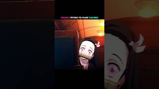 Nezuko Trying To Wakeup Tanjiro